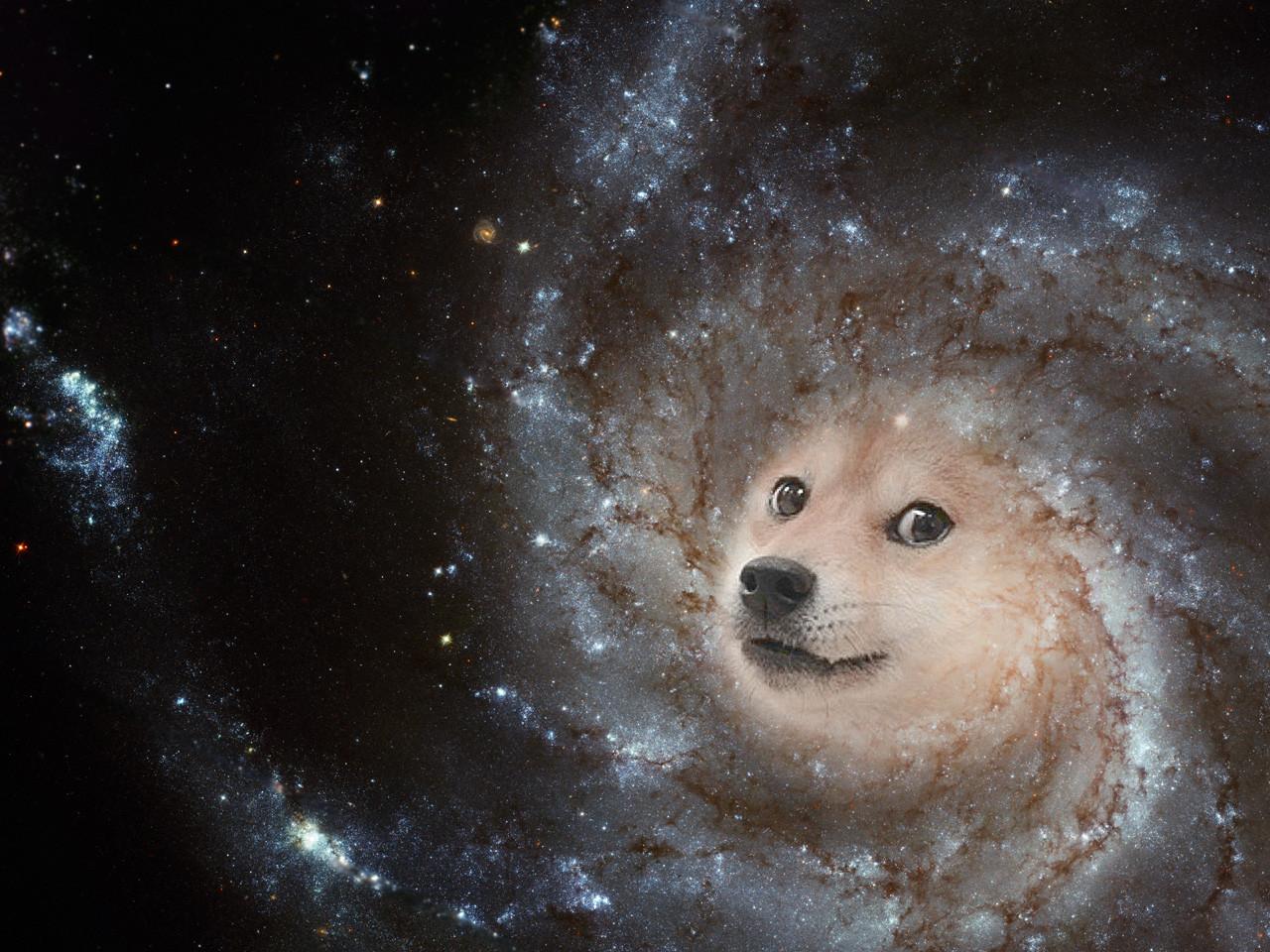 Galaxy Dog Wallpapers