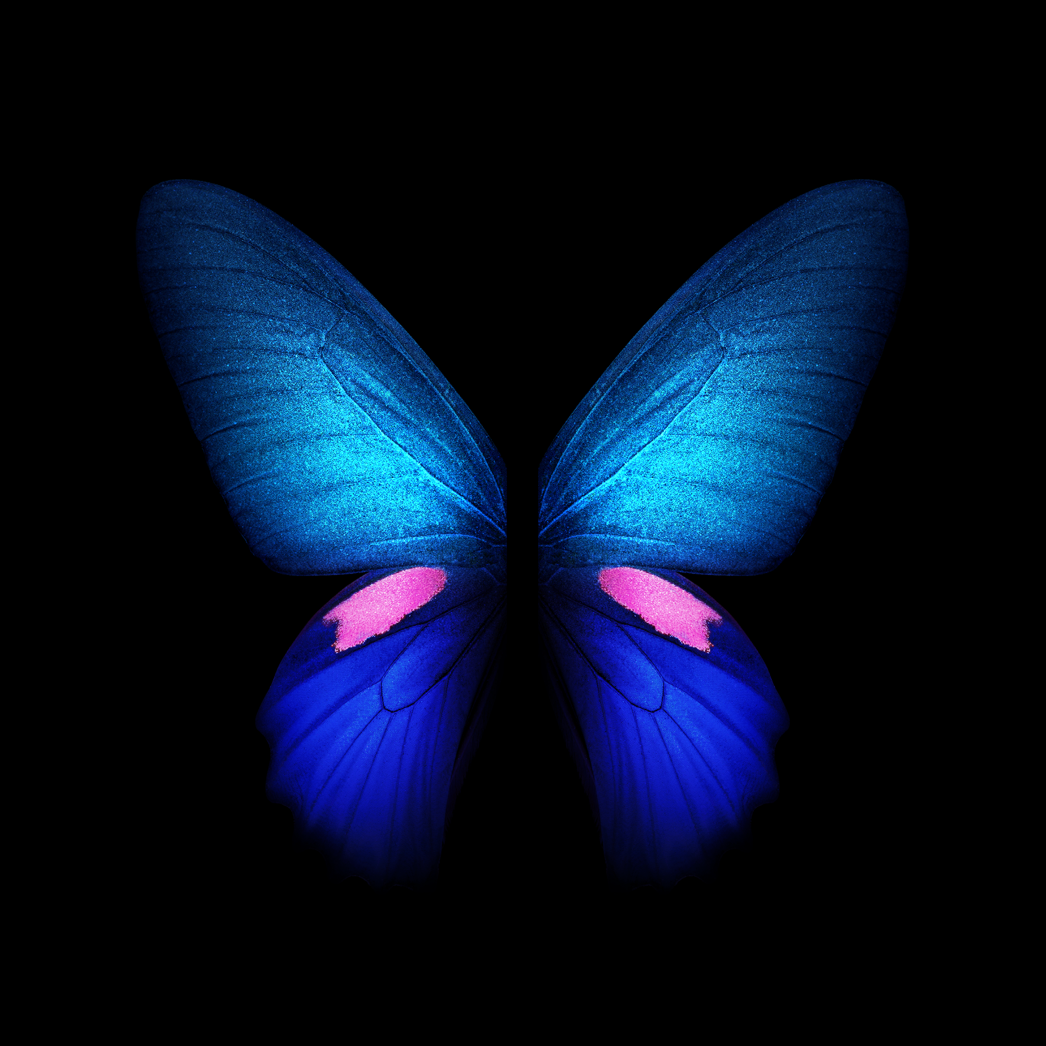 Galaxy Fold Wallpapers