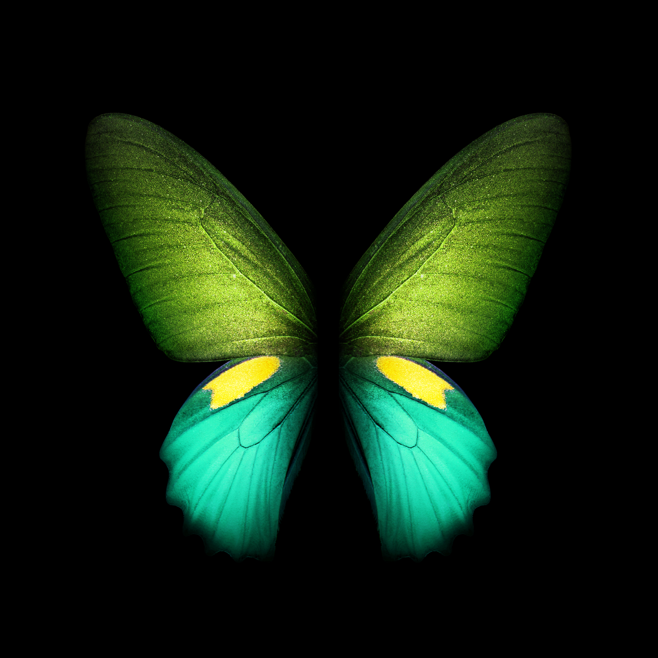 Galaxy Fold Wallpapers