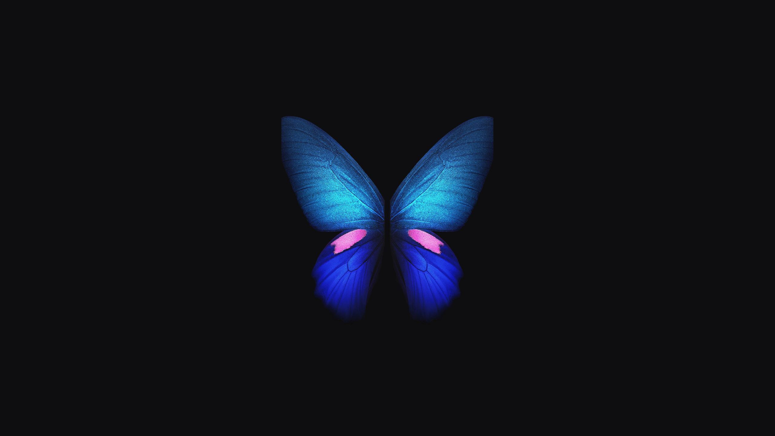 Galaxy Fold Wallpapers