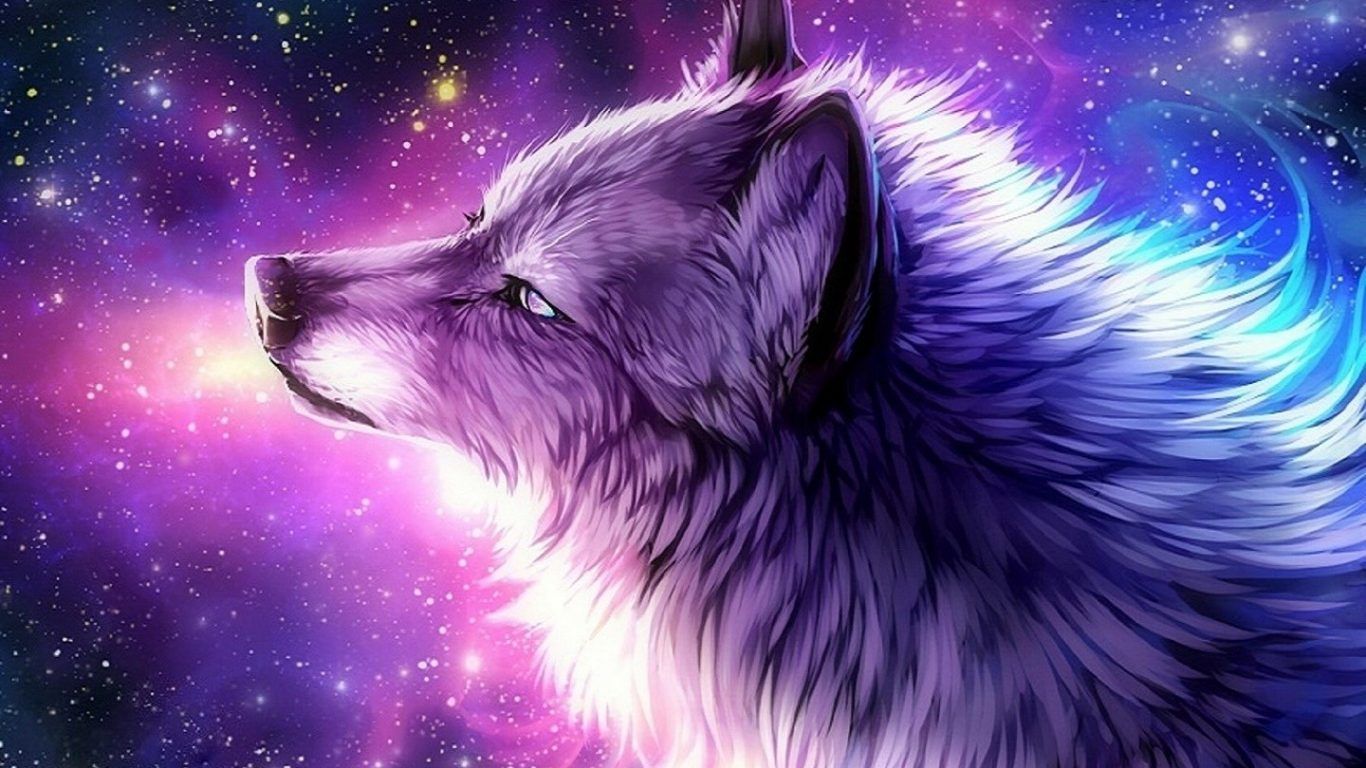 Galaxy Fox Wallpapers