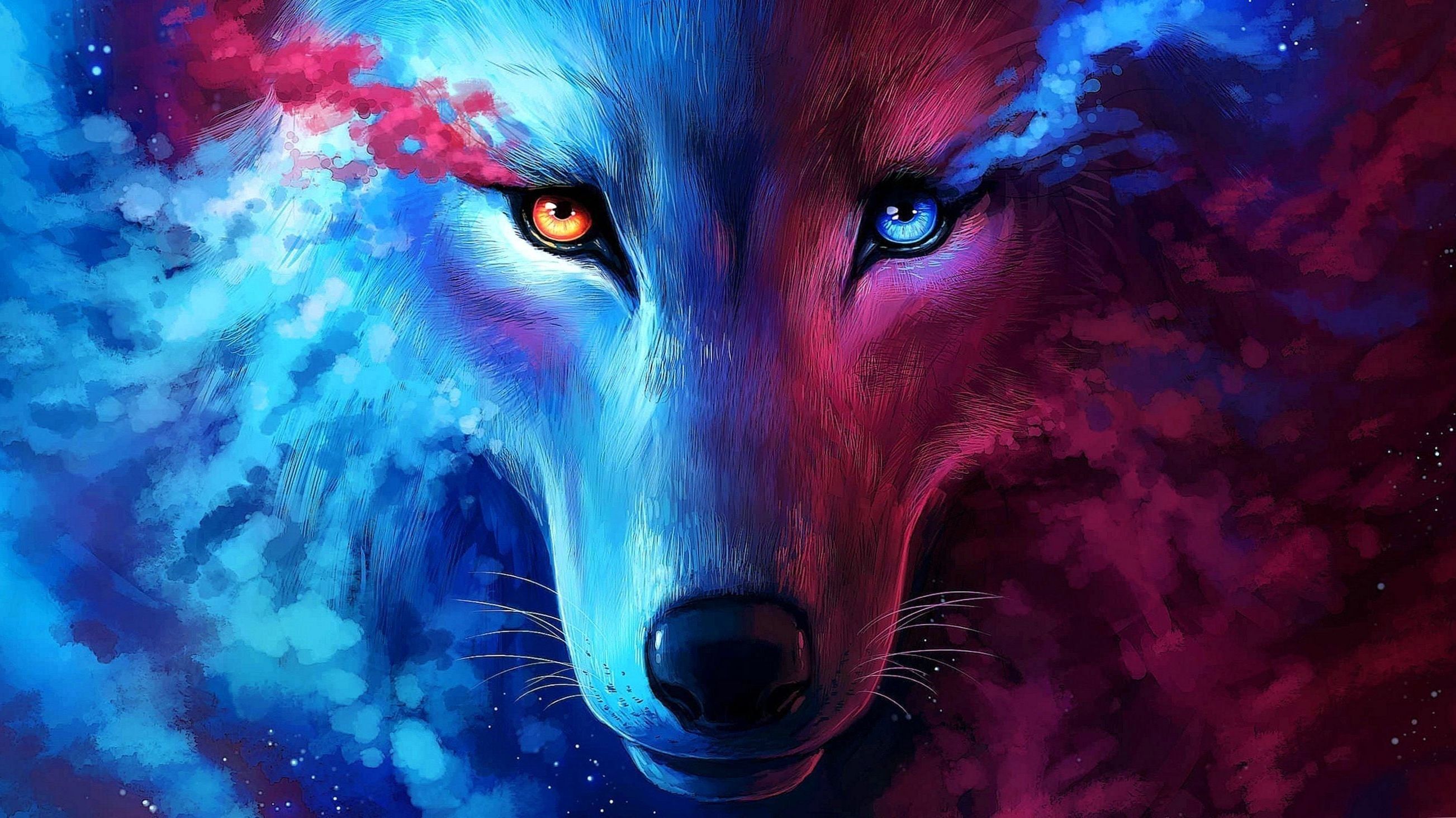 Galaxy Fox Wallpapers