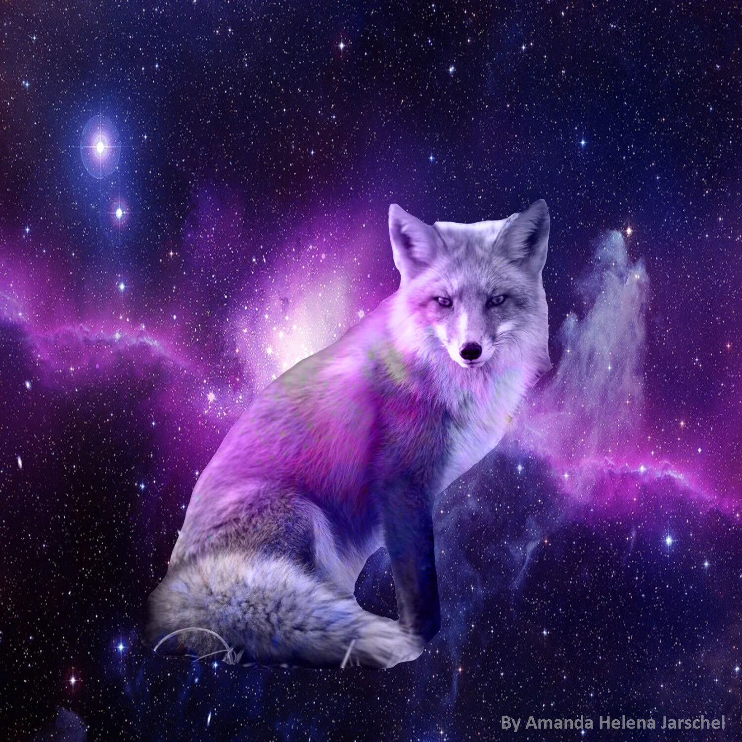 Galaxy Fox Wallpapers