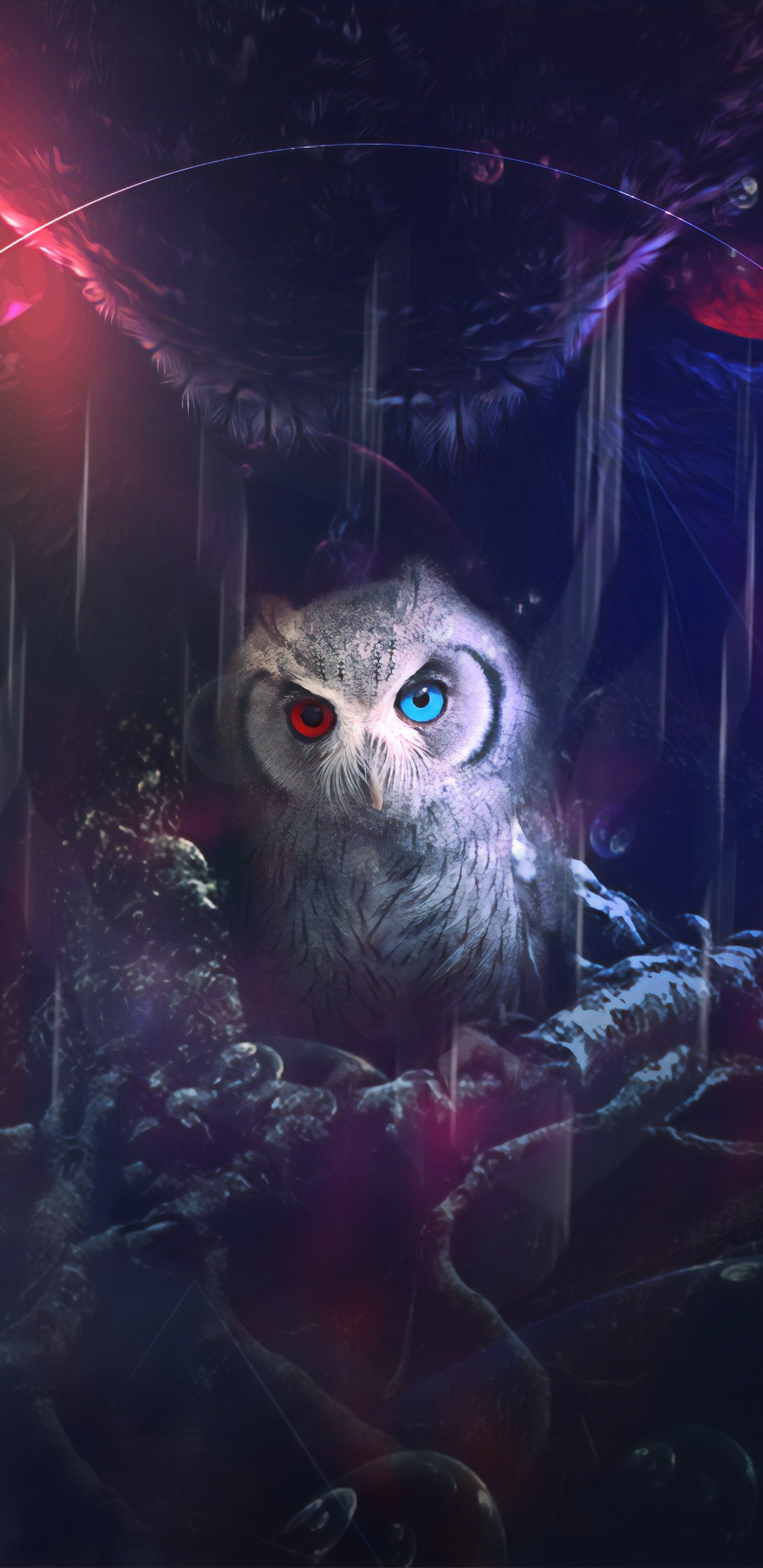 Galaxy Owl Wallpapers