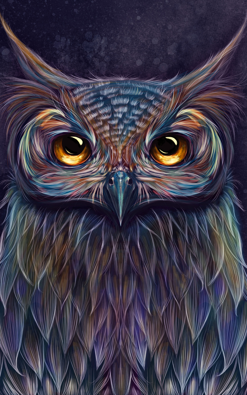 Galaxy Owl Wallpapers