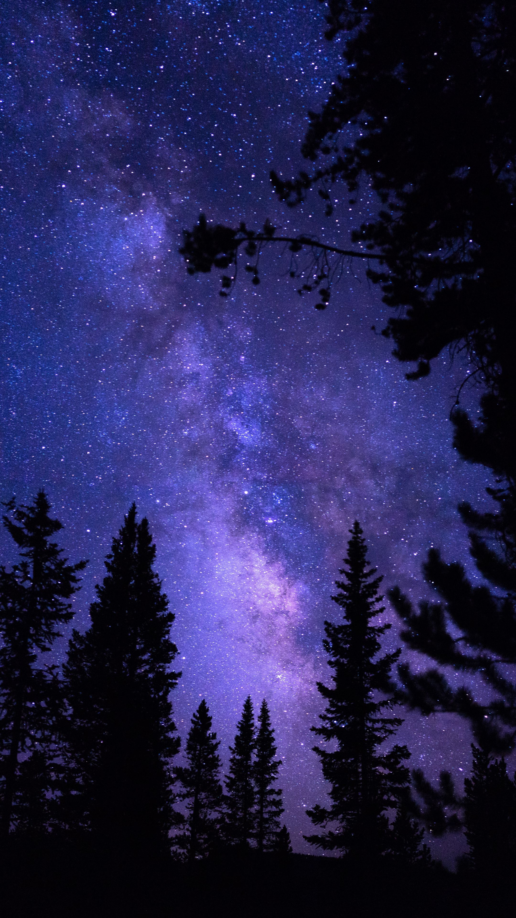 Galaxy Tree Wallpapers