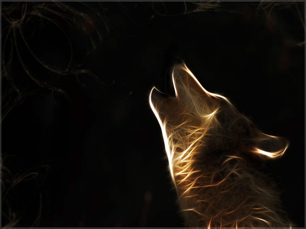 Galaxy Wolf Cool Wallpapers