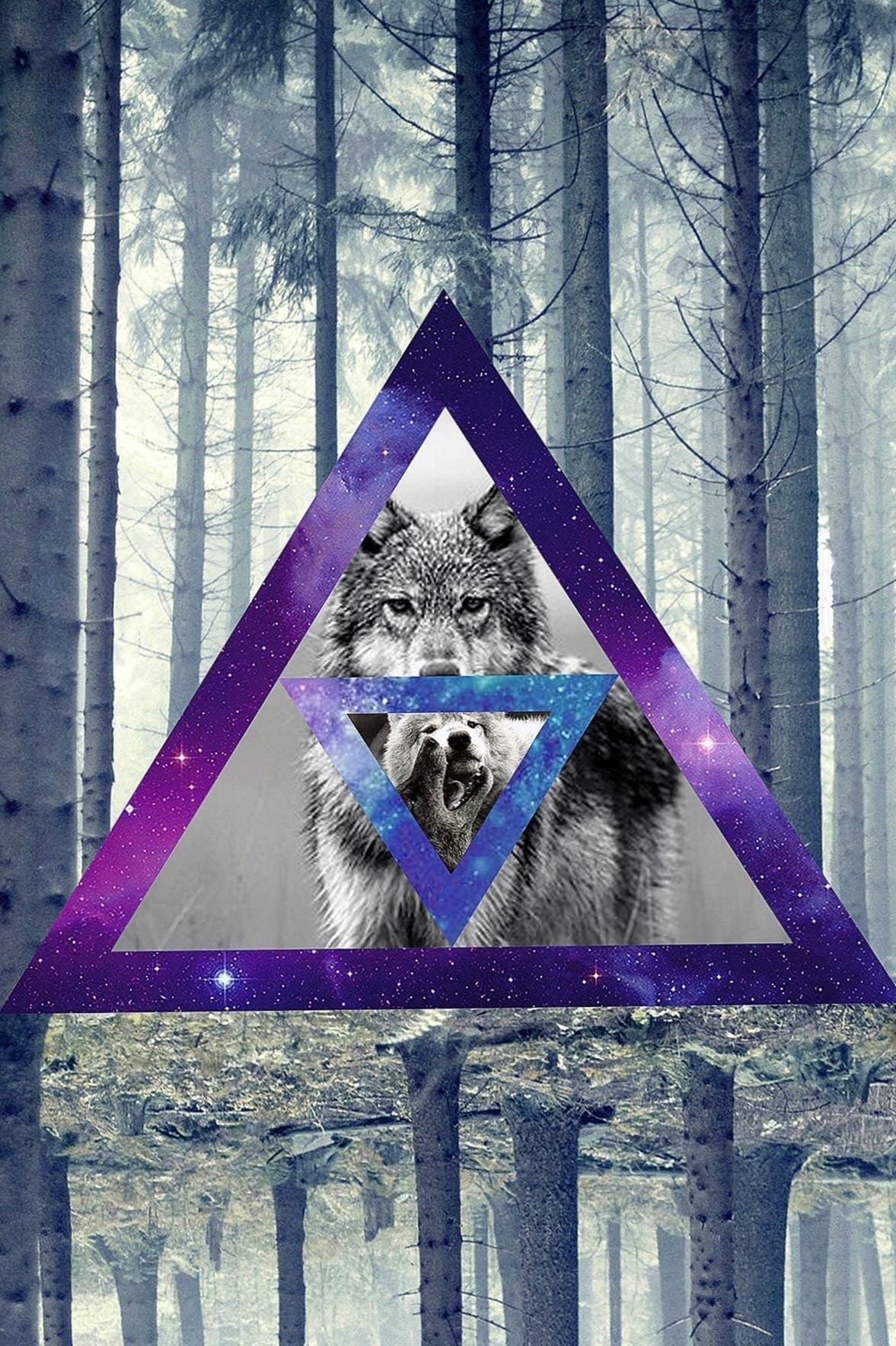 Galaxy Wolf Triangle Wallpapers