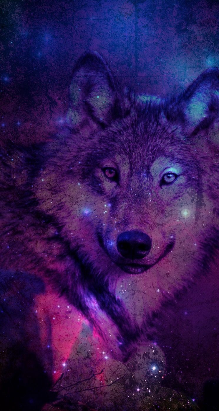 Galaxy Wolf Triangle Wallpapers