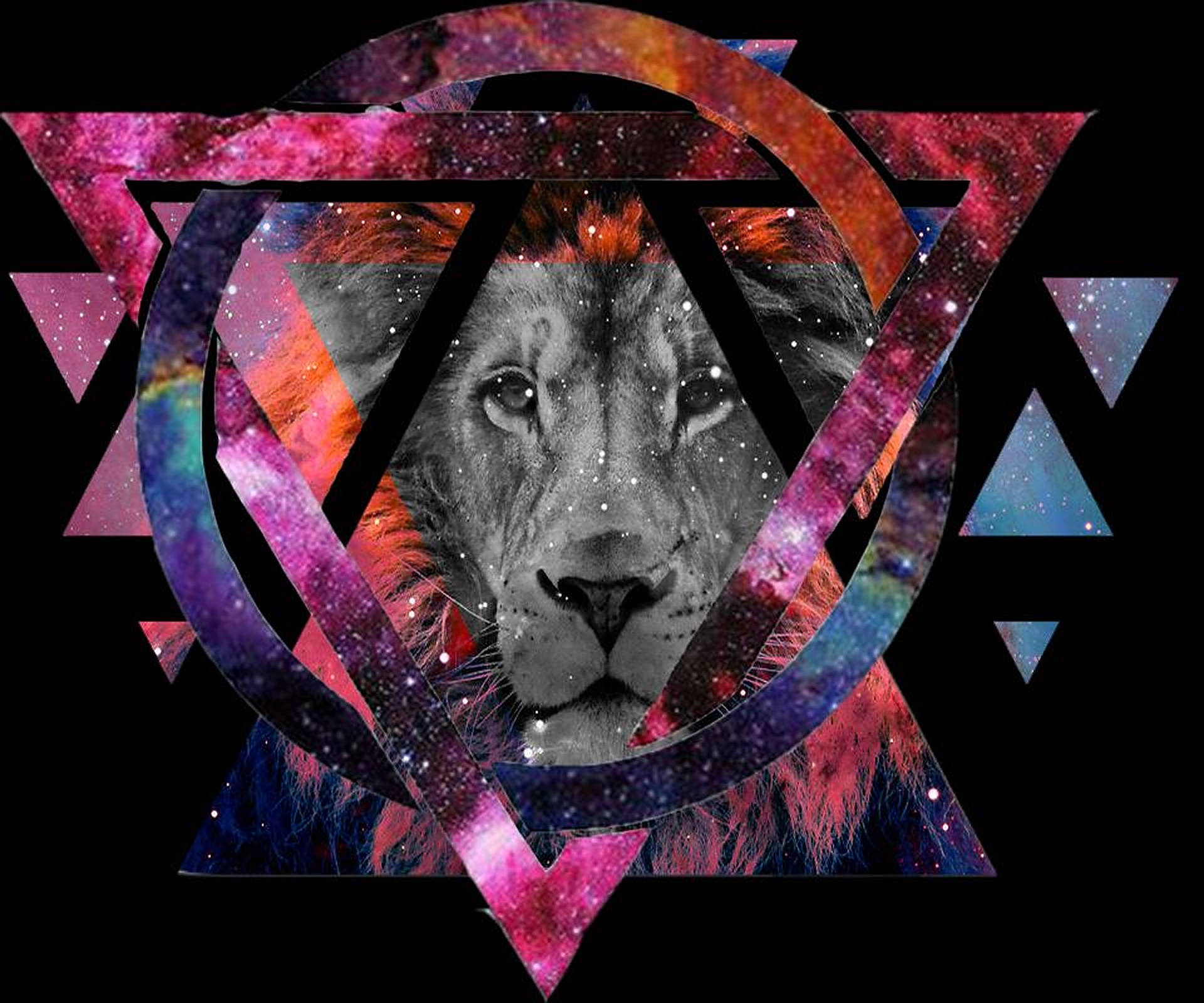 Geometric Lion Wallpapers