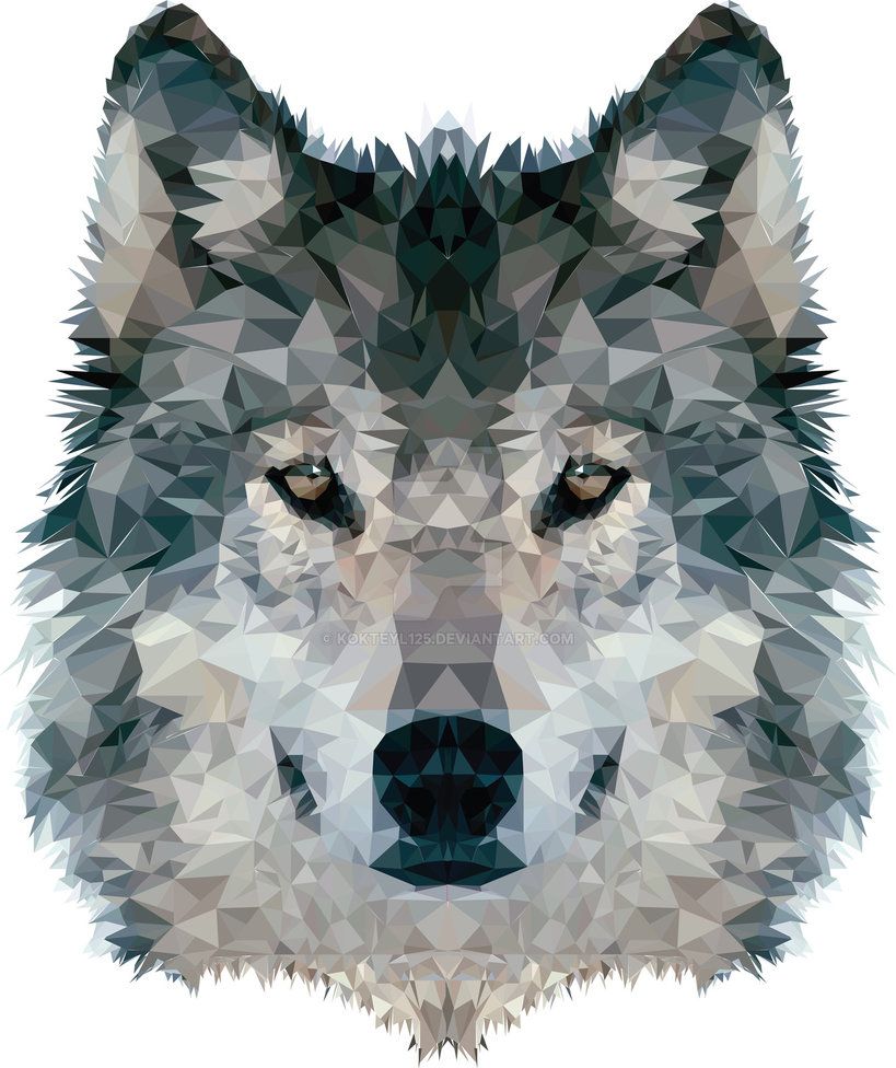 Geometric Wolf Wallpapers