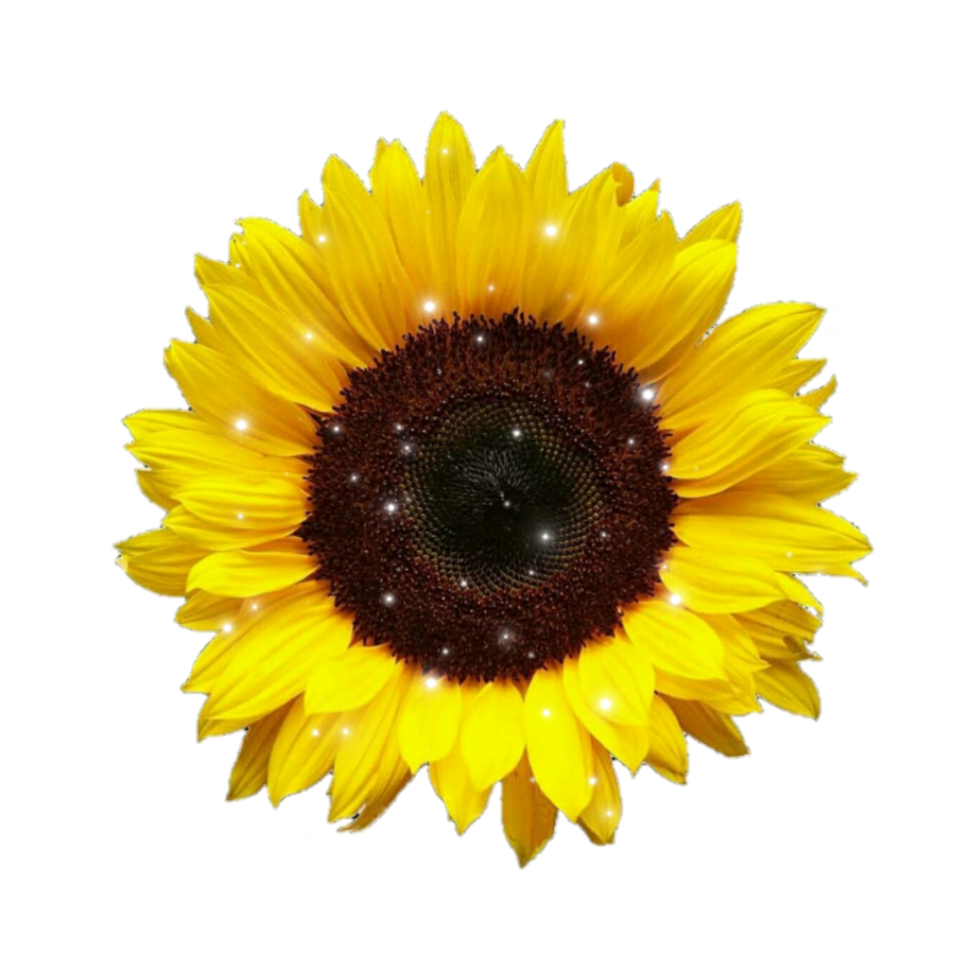 Glitter Sunflower Wallpapers