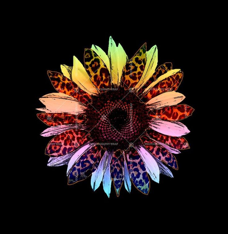 Glitter Sunflower Wallpapers