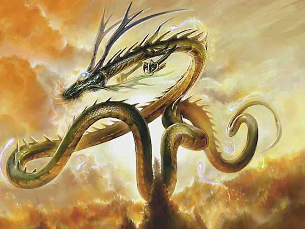 God Dragon Wallpapers