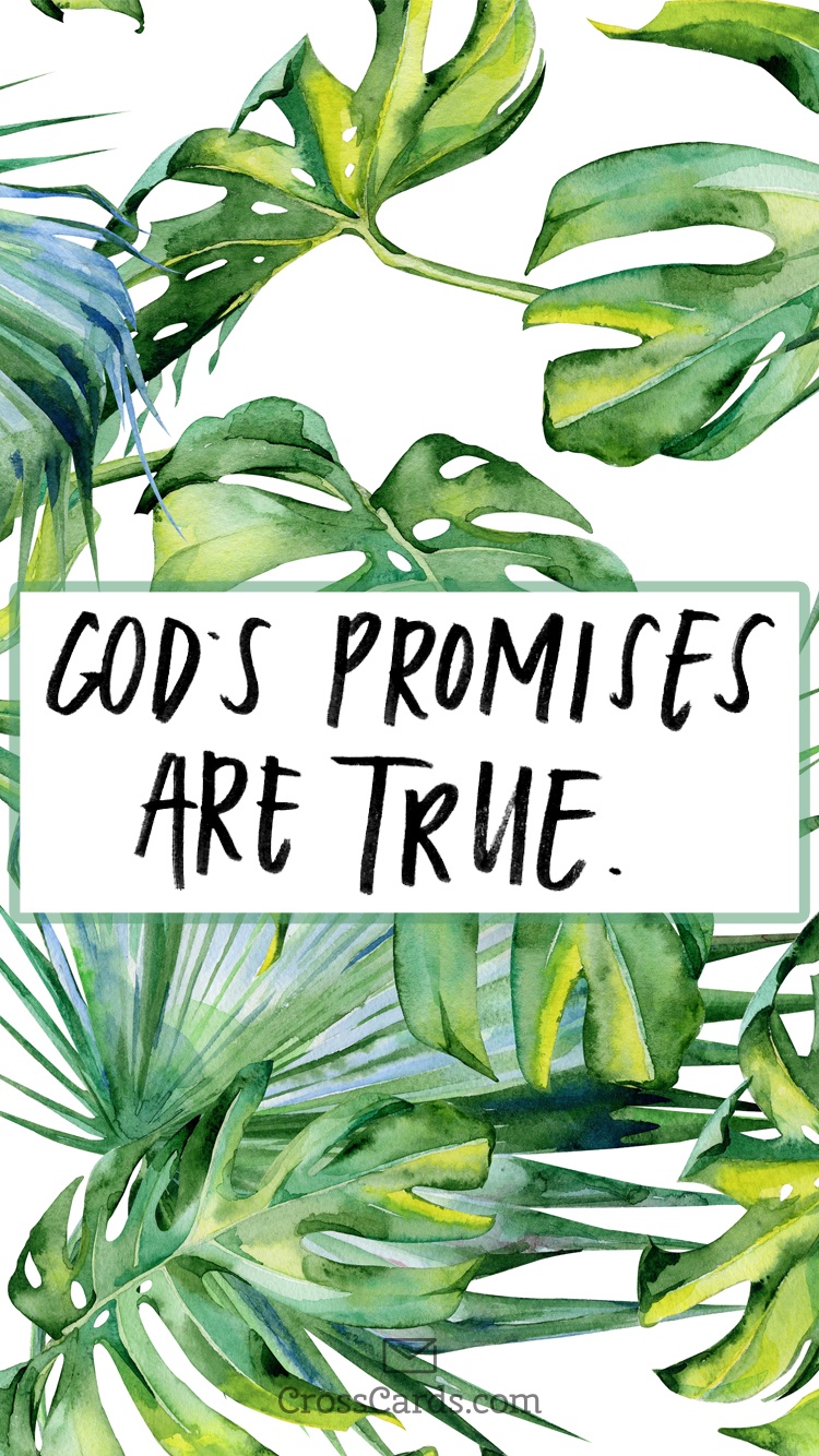 Gods Promises Images Wallpapers