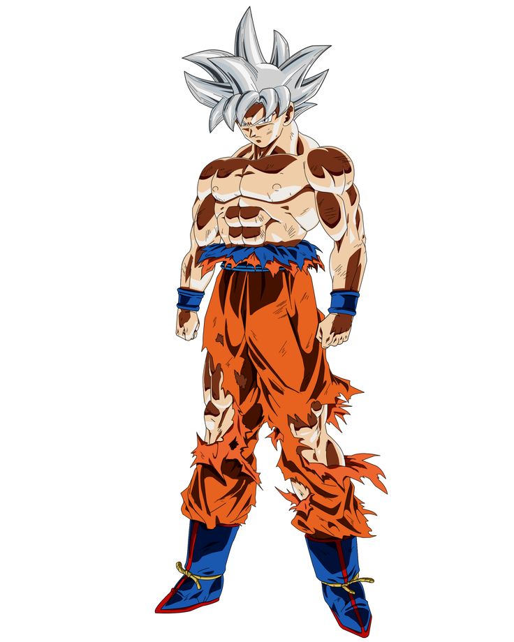 Goku Mastered Ultra Instinct Full Body Wallpapers