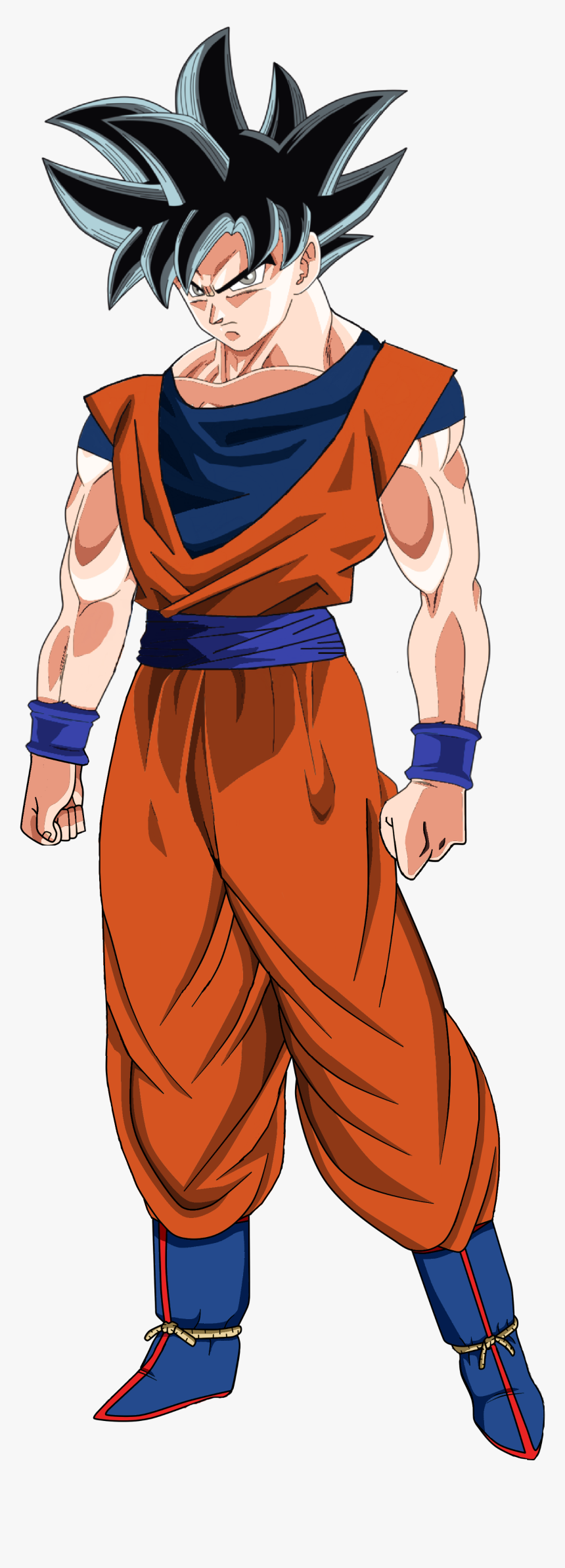 Goku Mastered Ultra Instinct Full Body Wallpapers