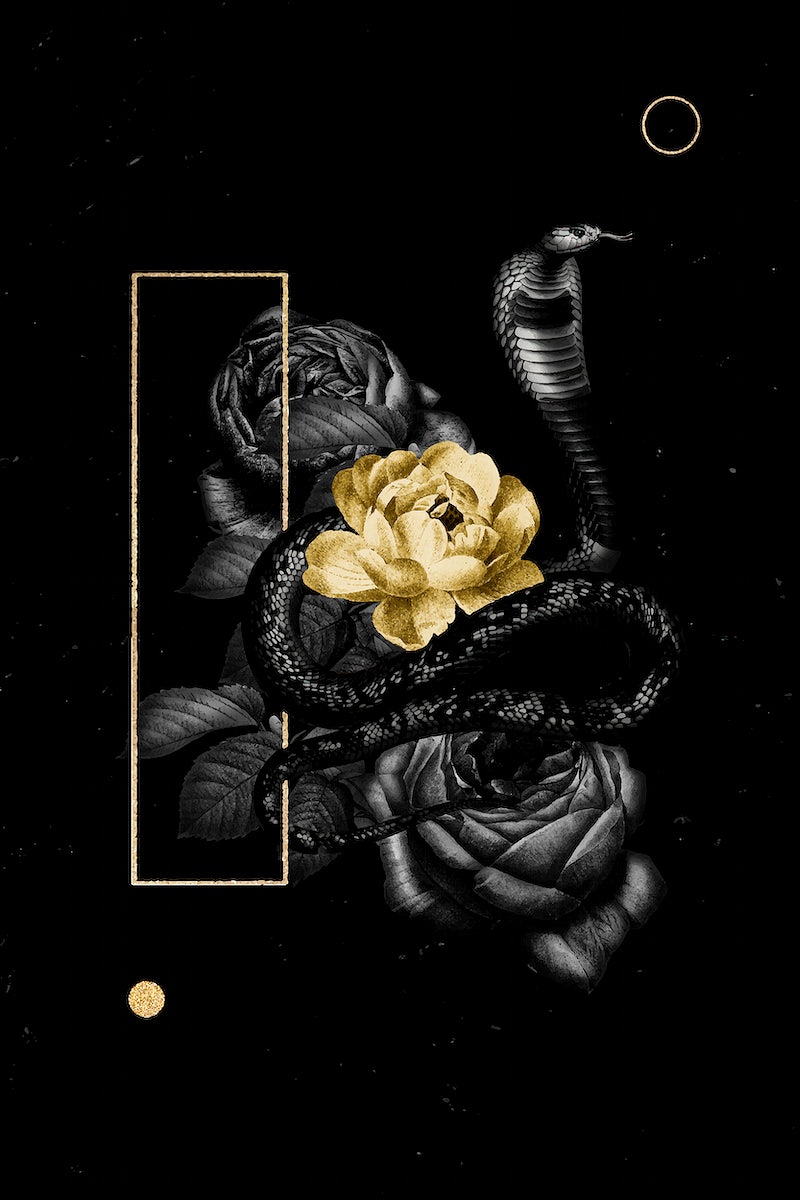 Gold And Black Aesthetic Wallpapers