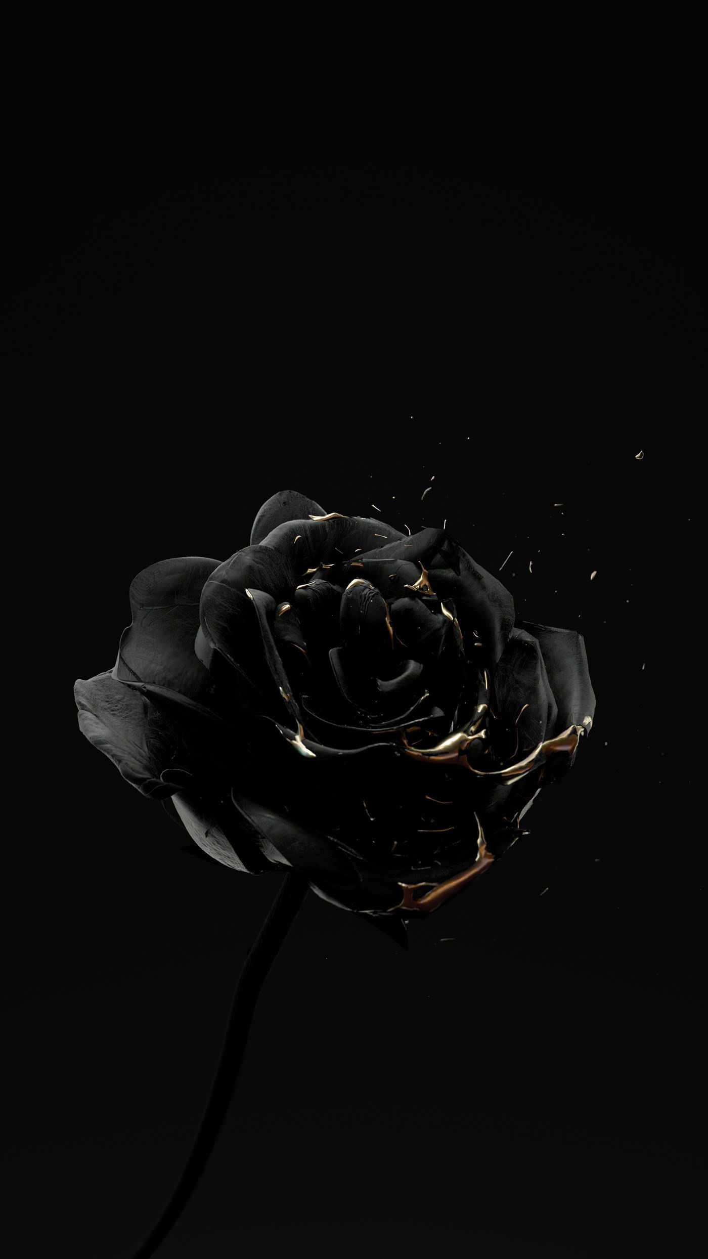 Gold And Black Aesthetic Wallpapers