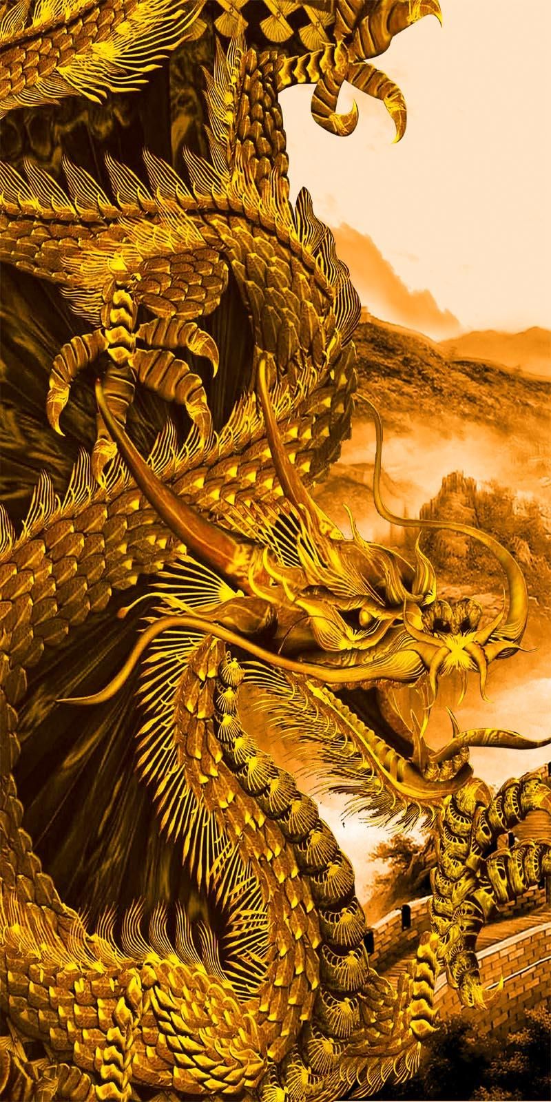 Gold Dragon Wallpapers