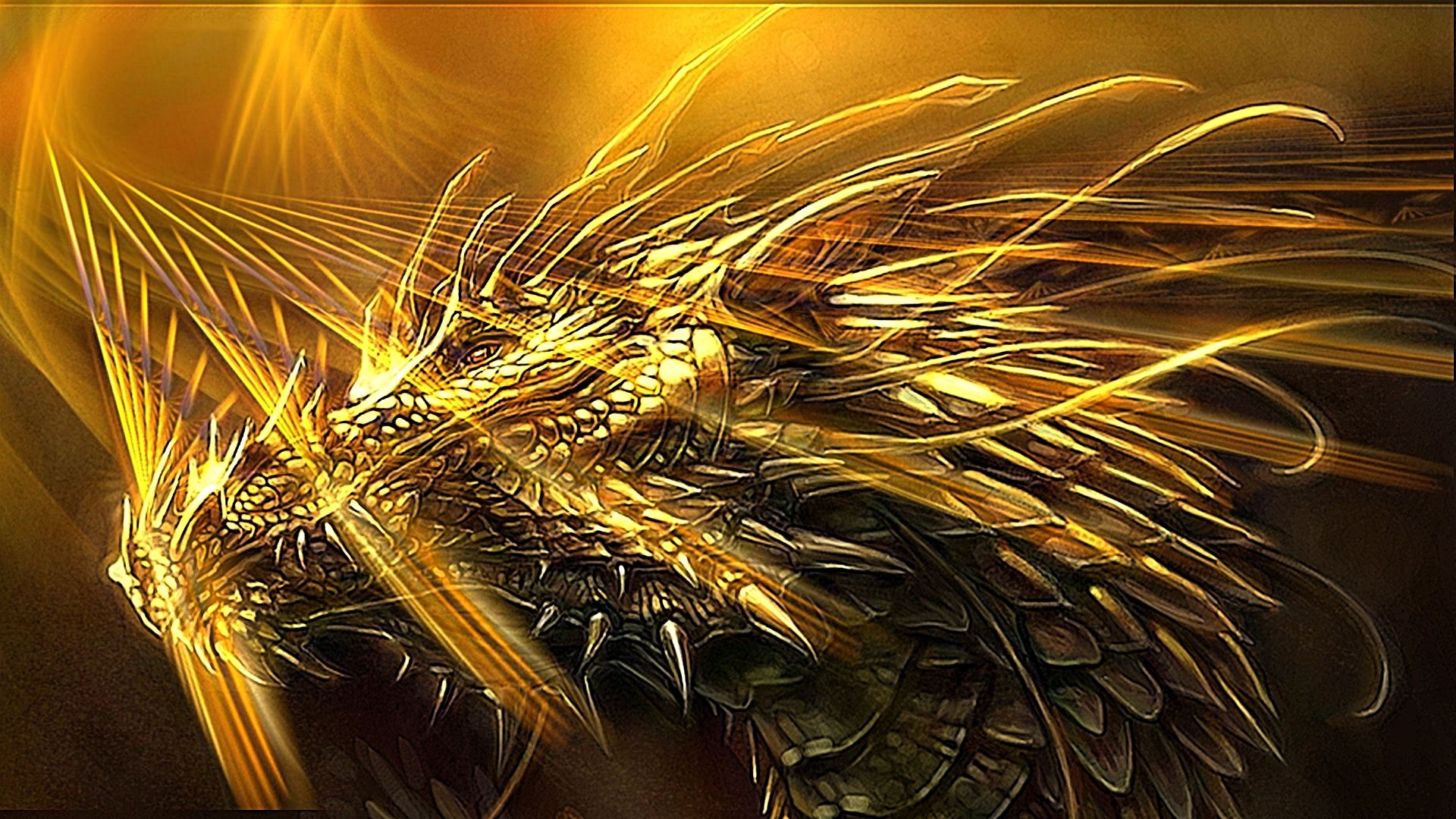 Gold Dragon Wallpapers