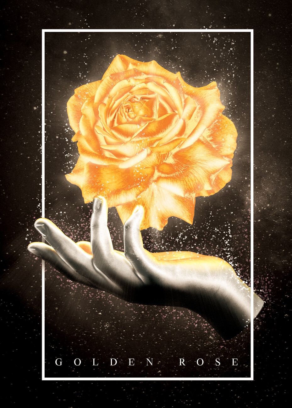 Golden Rose Wallpapers