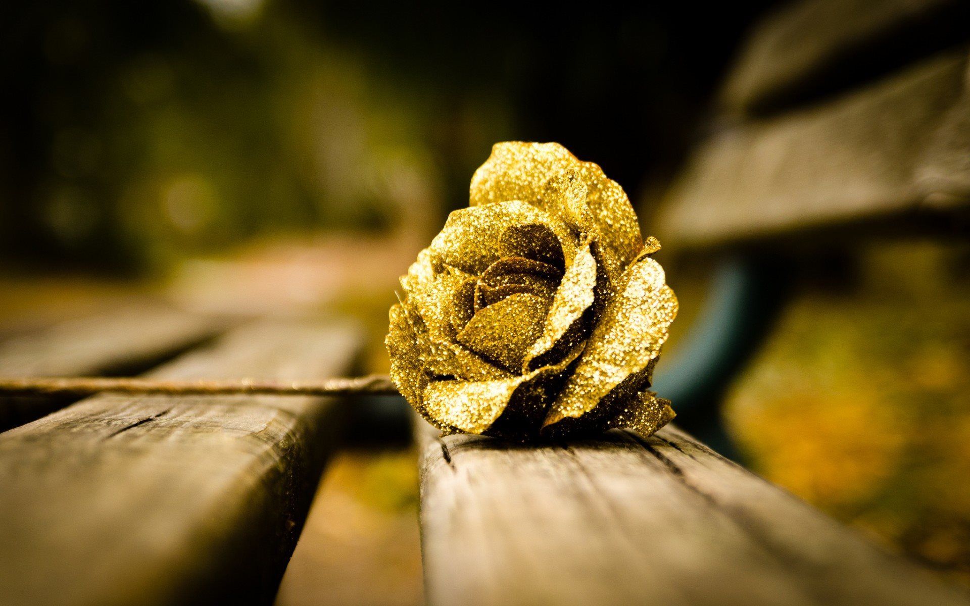 Golden Rose Wallpapers