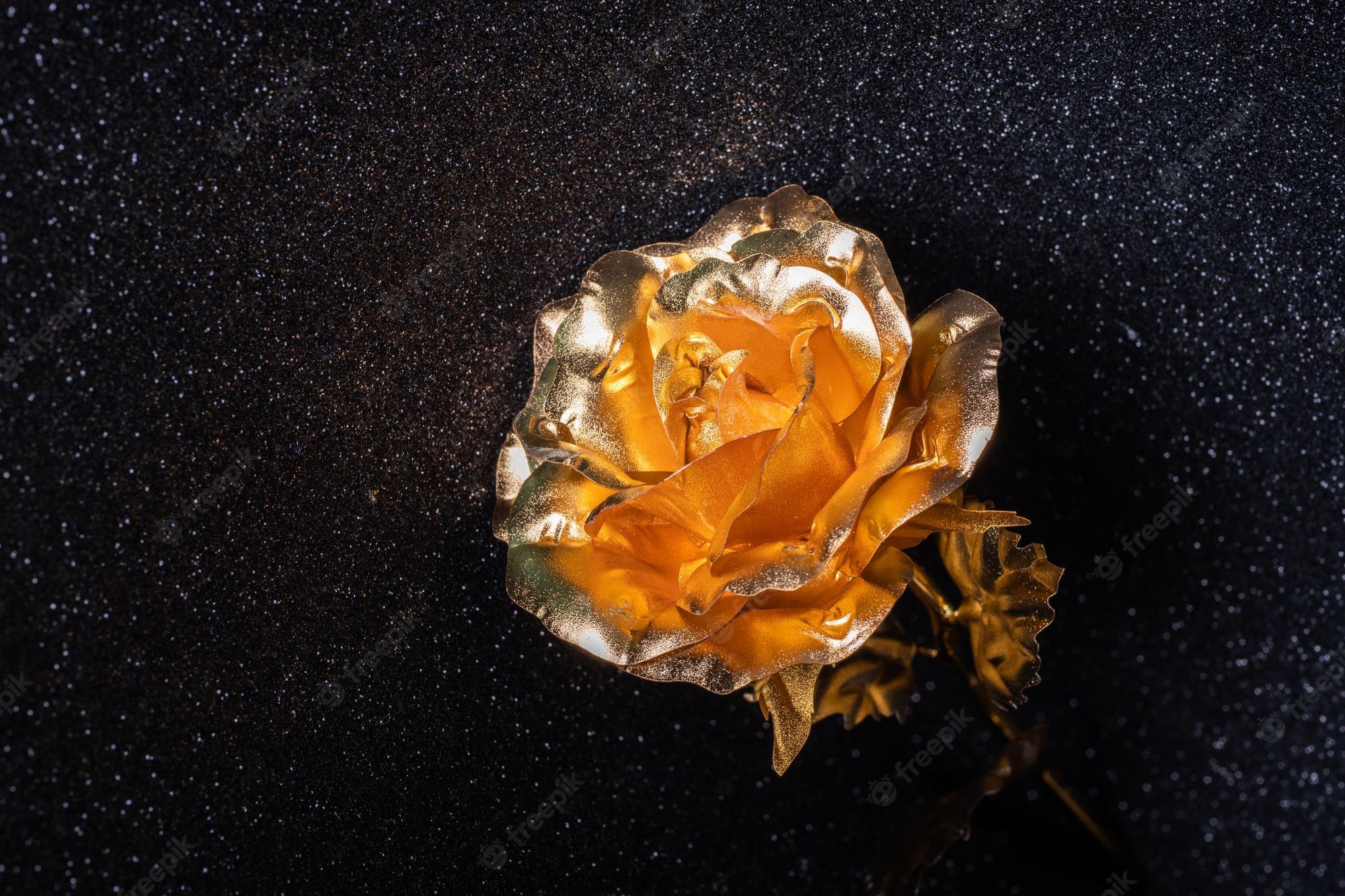 Golden Rose Wallpapers