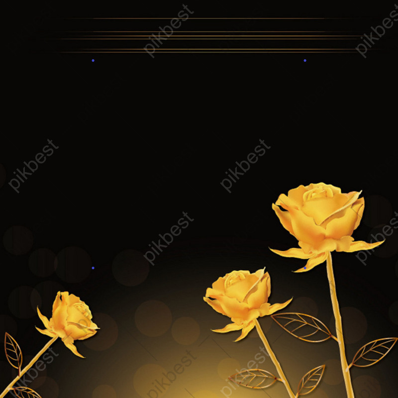 Golden Rose Wallpapers