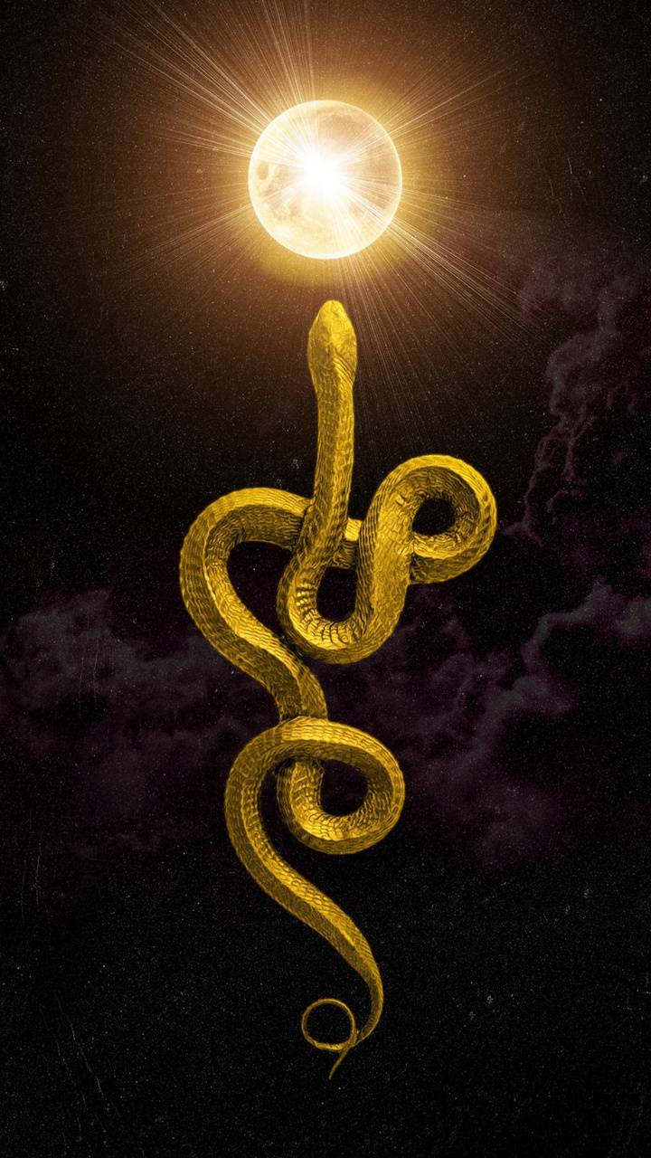 Golden Snake Wallpapers