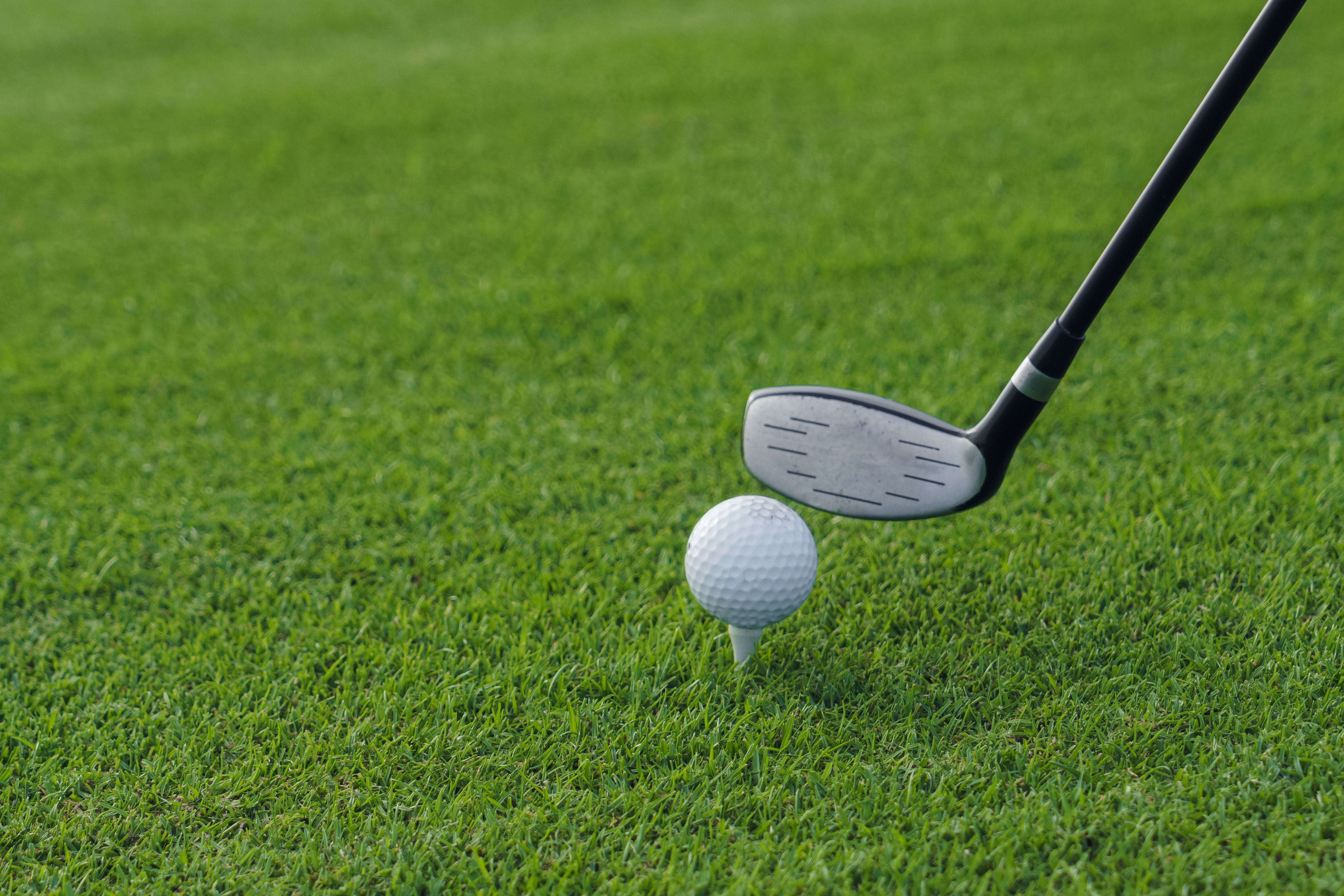 Golf Green Wallpapers