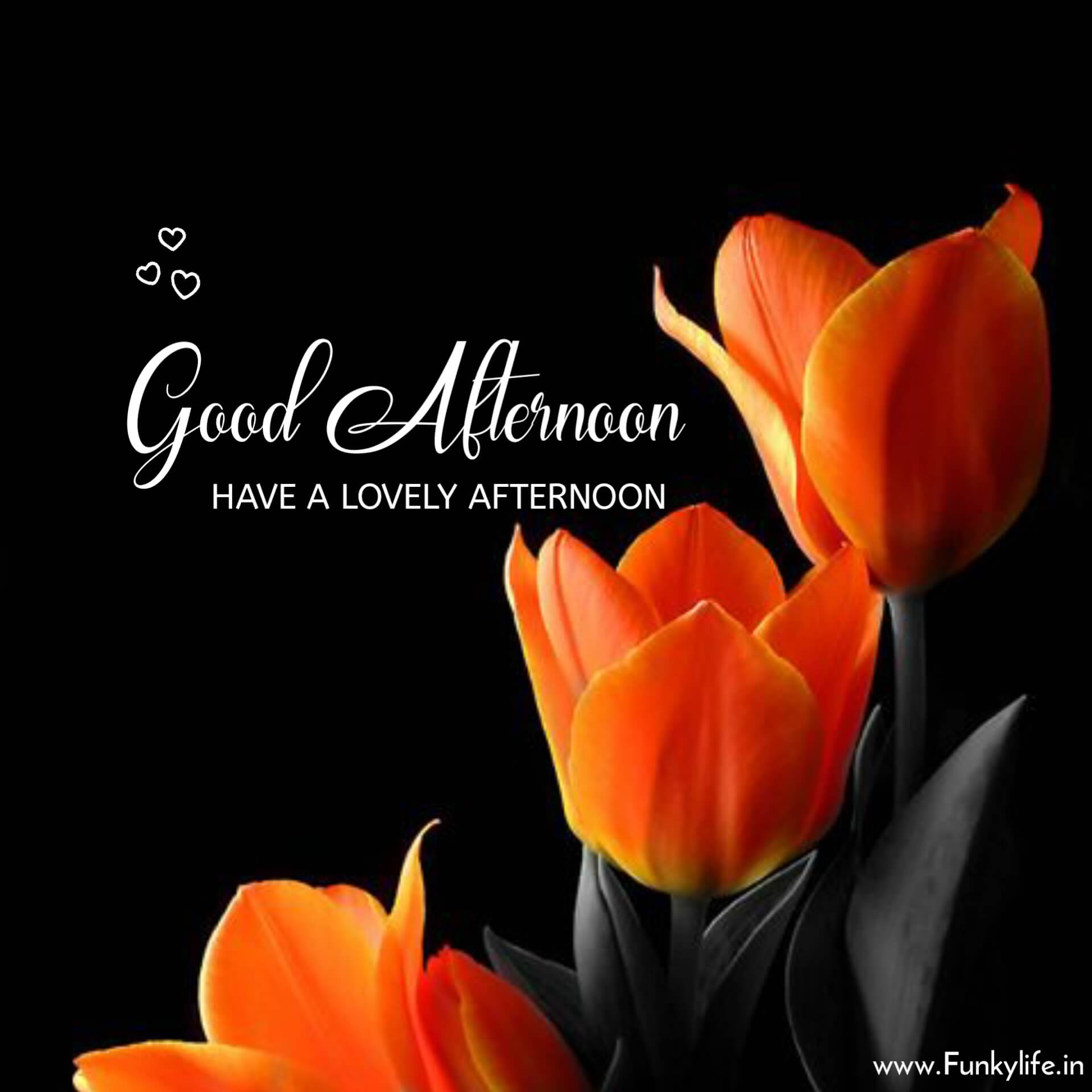 Good Afternoon Blessings Images Wallpapers