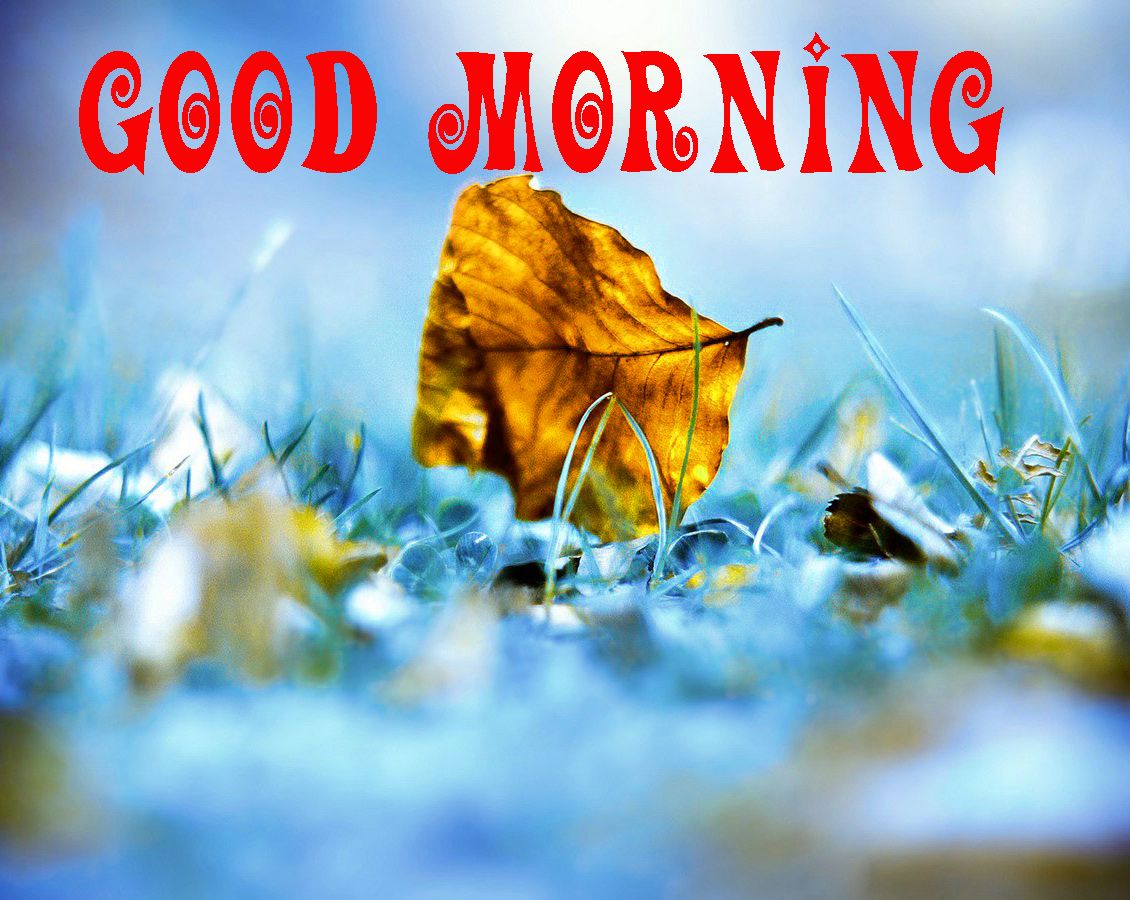 Good Morning 3D Images Wallpapers