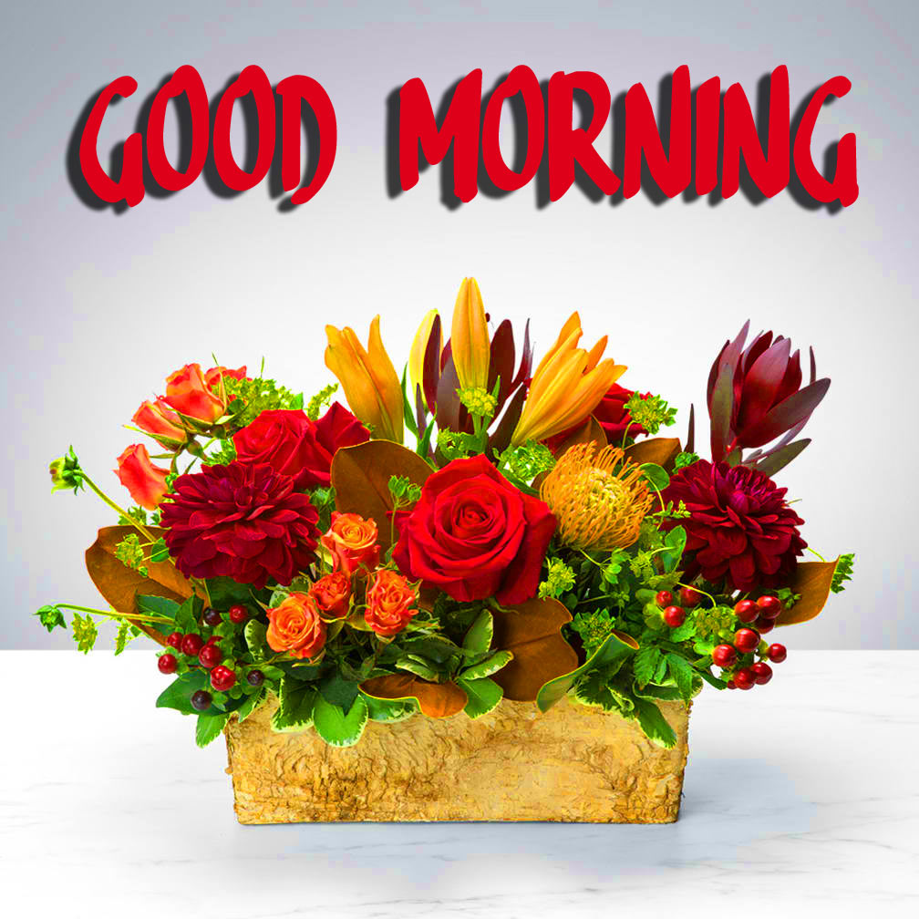 Good Morning 3D Images Wallpapers