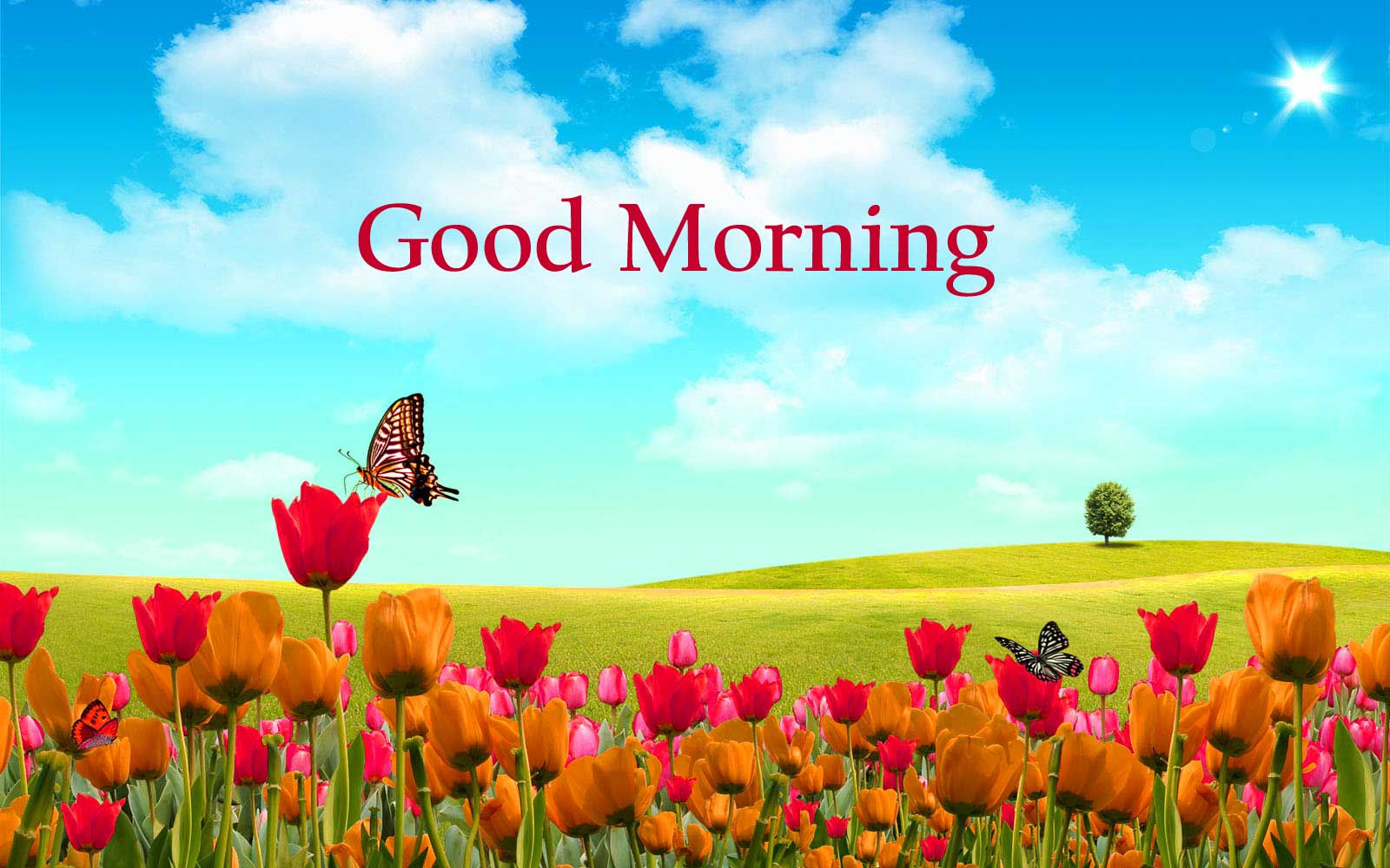 Good Morning 3D Images Wallpapers