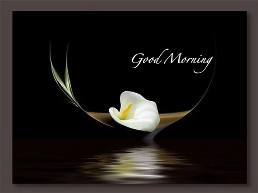 Good Morning 3D Images Wallpapers