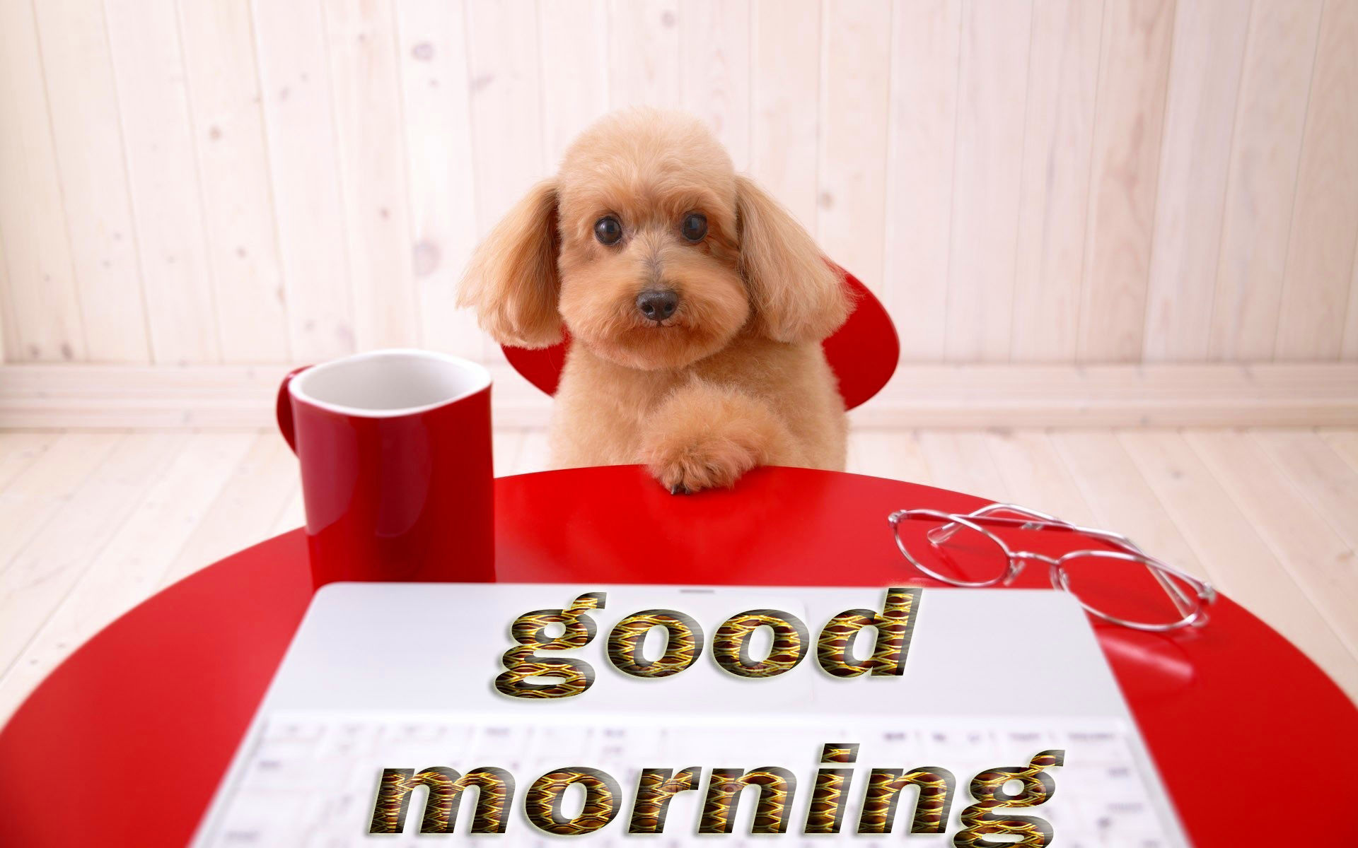 Good Morning Dog Images Wallpapers