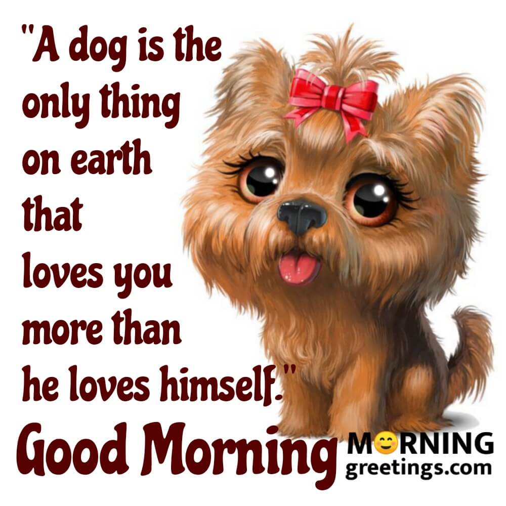 Good Morning Dog Images Wallpapers