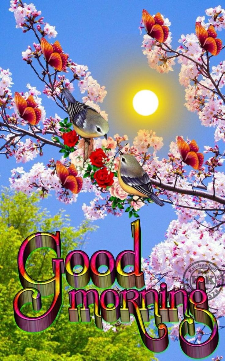 Good Morning God Bless You Images Wallpapers