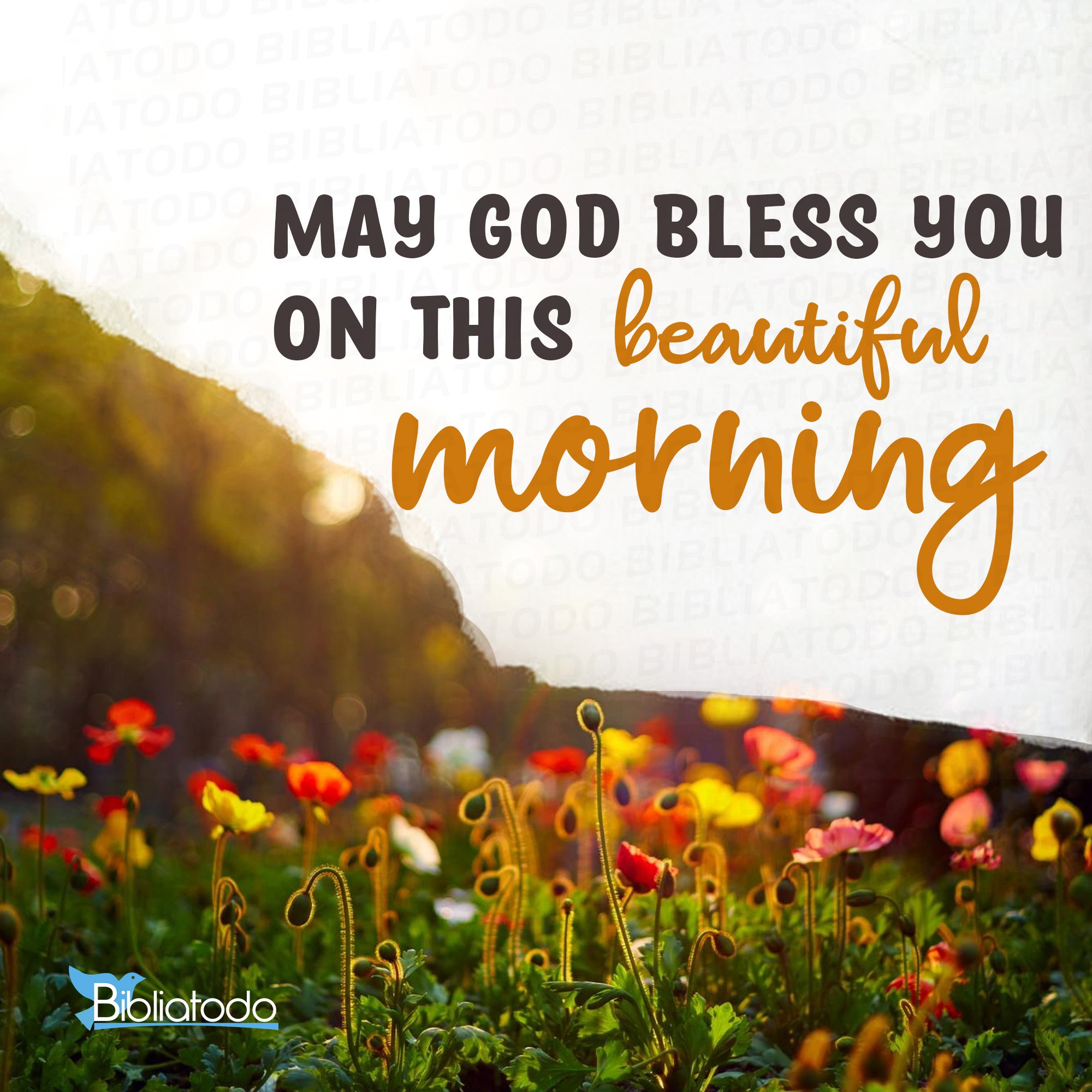 Good Morning God Bless You Images Wallpapers