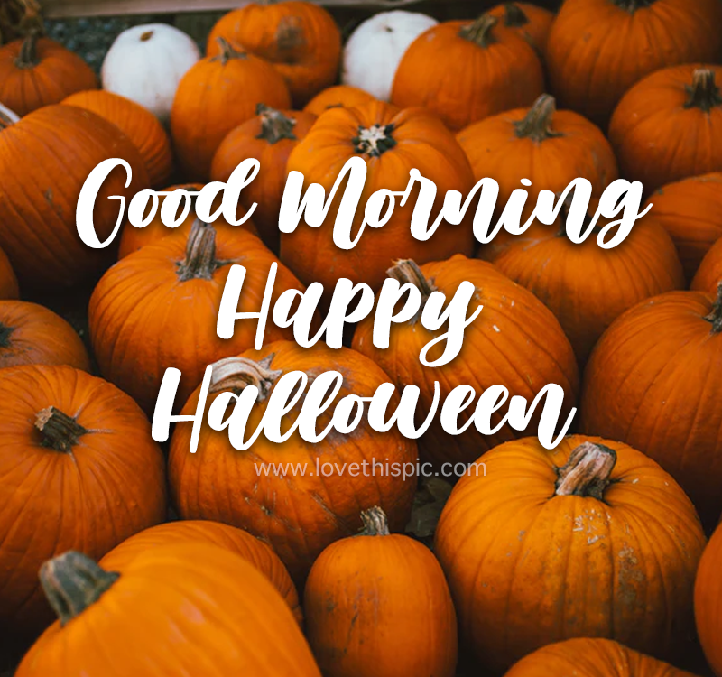 Good Morning Halloween Images Wallpapers