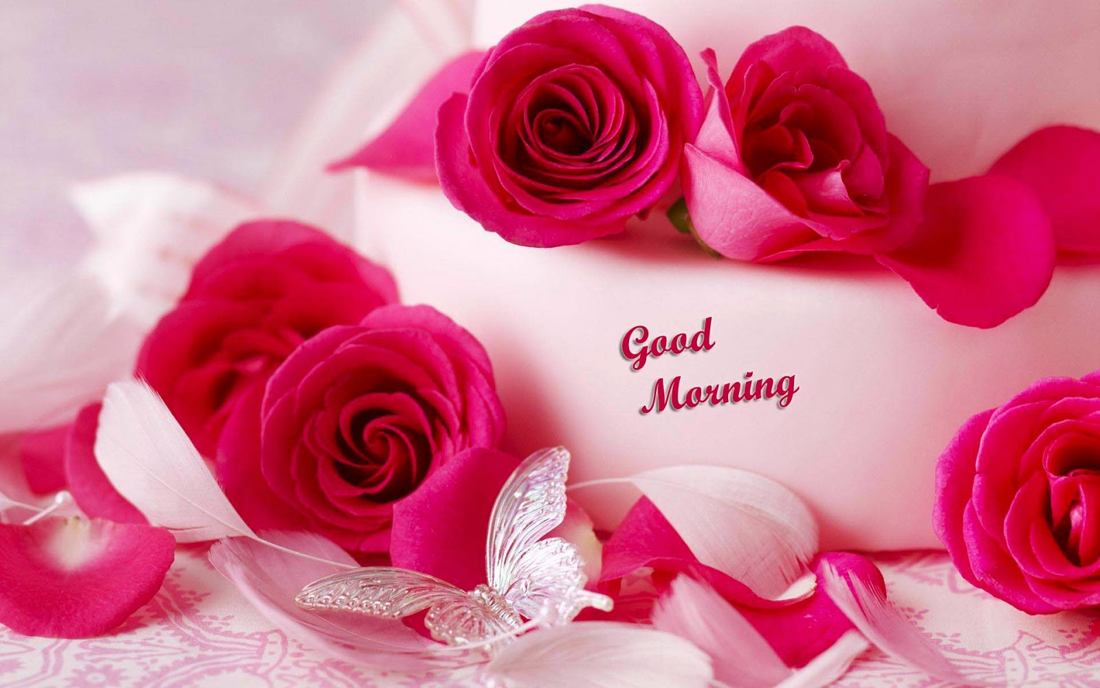 Good Morning Images Download Wallpapers