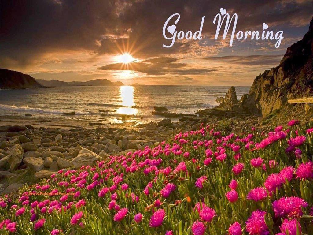 Good Morning Images Download Wallpapers