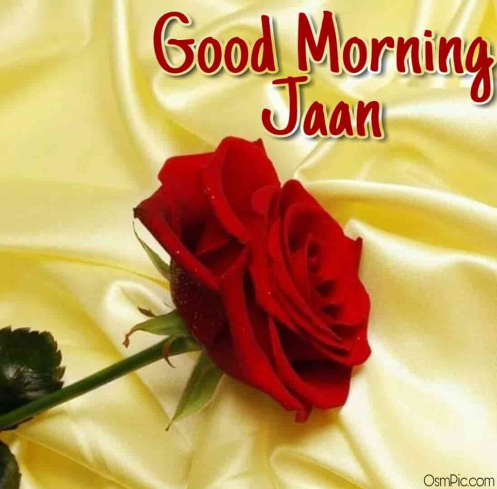 Good Morning Jaan Wallpapers