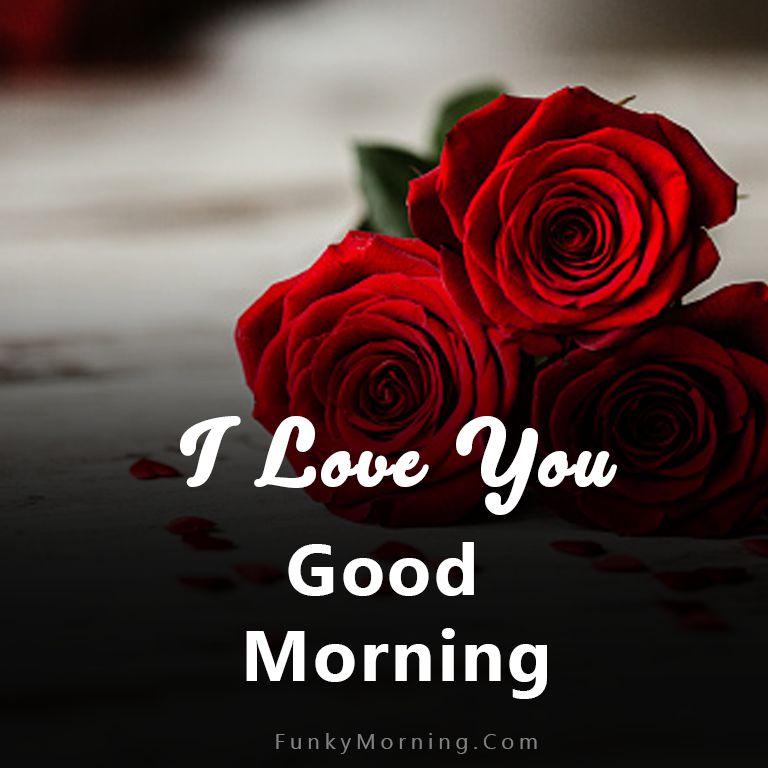 Good Morning Jaan Wallpapers