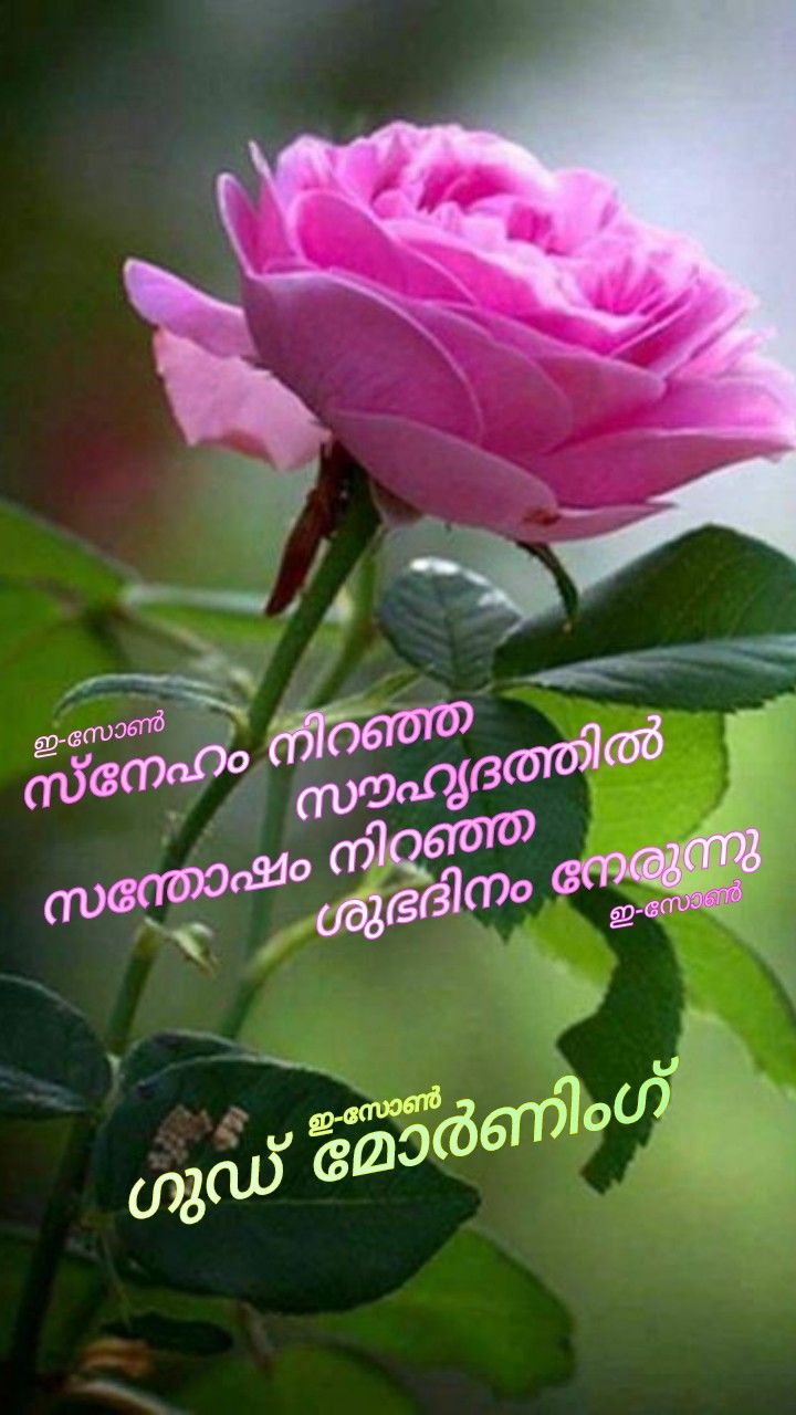 Good Morning Malayalam Wallpapers