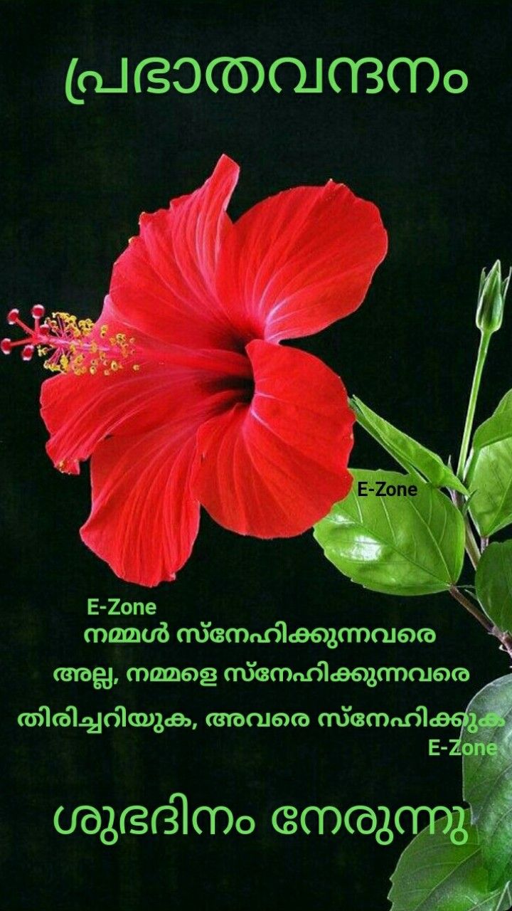 Good Morning Malayalam Wallpapers