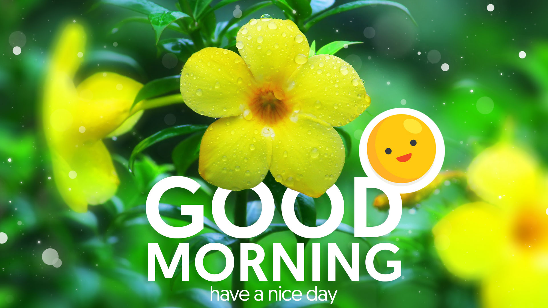 Good Morning Malayalam Wallpapers