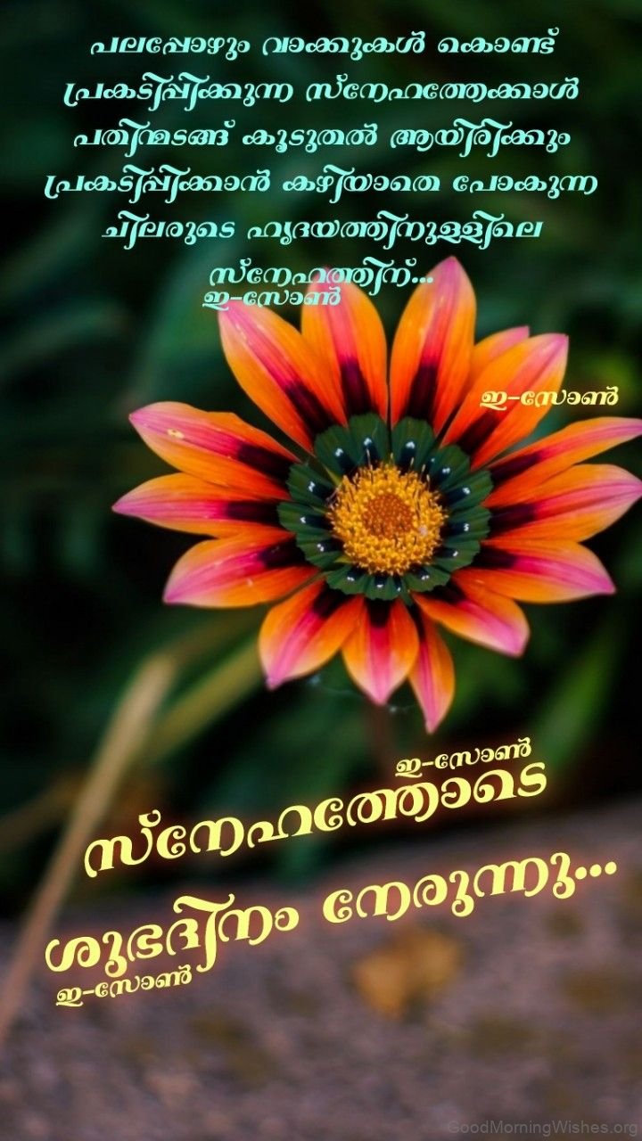 Good Morning Malayalam Wallpapers