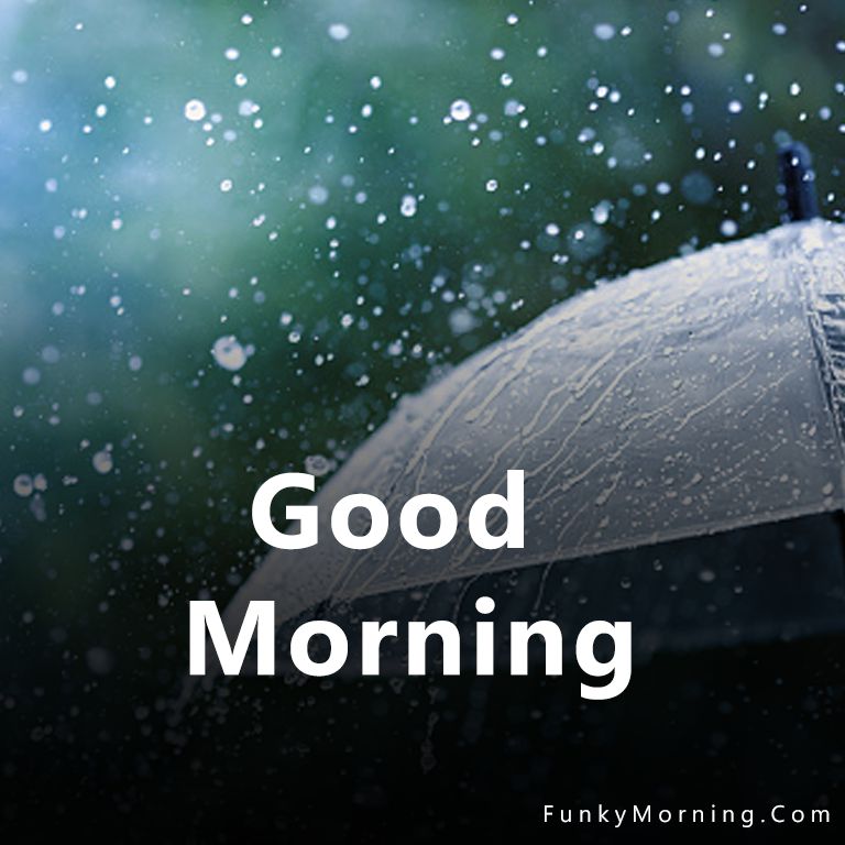 Good Morning Rainy Day Images Wallpapers